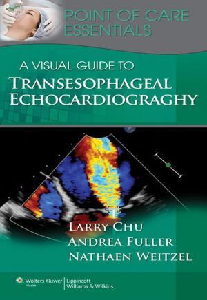 Cover of the book A Visual Guide to Transesophageal Echocardiography by Larry F. Chu, Andrea Fuller