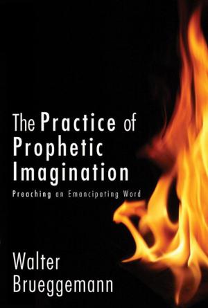 Book cover of The Practice of Prophetic Imagination