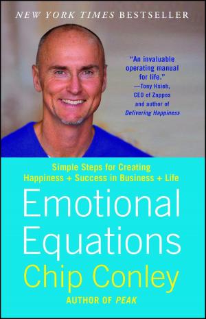 Cover of the book Emotional Equations by Penelope Rowlands