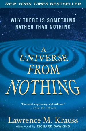 Book cover of A Universe from Nothing