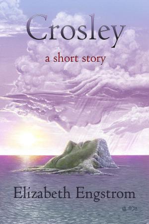 Cover of the book Crosley: A Short Story by Elizabeth Engstrom