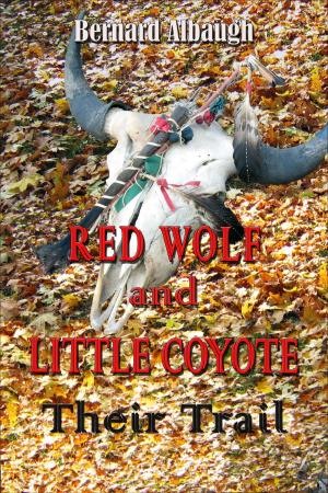 Cover of the book Red Wolf and Little Coyote: VISION QUEST by gokigen inc.