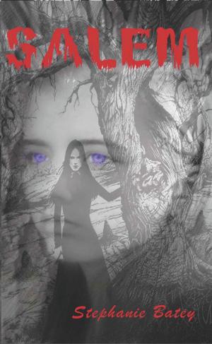 Cover of the book Salem by J.B. Kleynhans