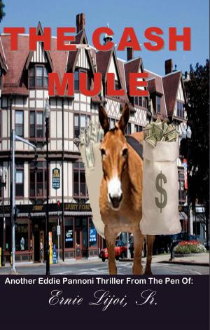 Cover of the book The Cash Mule by J.R. Collins