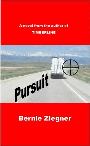 Cover of the book Pursuit by Gina Marie Long
