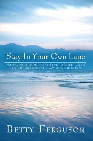 Cover of the book Stay in Your Own Lane by Ginna Callahan