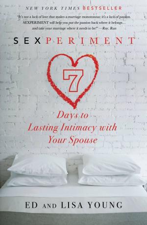 Cover of the book Sexperiment by Andy McGuire