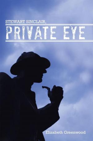Cover of the book Stewart Sinclair, Private Eye by John A. Kuleke