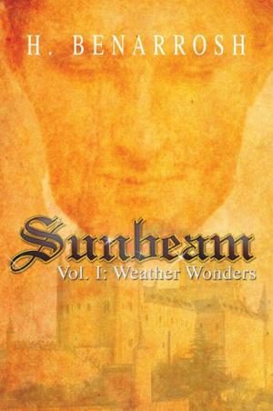 Cover of the book Sunbeam by Rebecca A. Vorsah