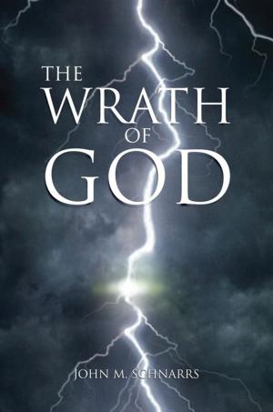 Cover of the book The Wrath of God by Georgia Verble
