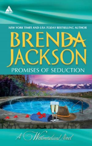 Cover of the book Promises of Seduction by Terri Brisbin