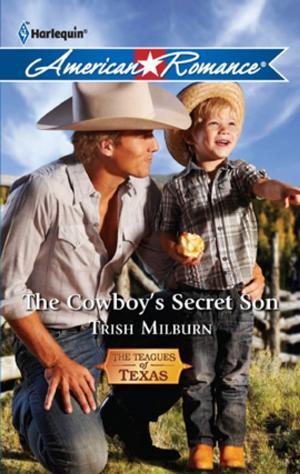 Cover of the book The Cowboy's Secret Son by Carol Finch