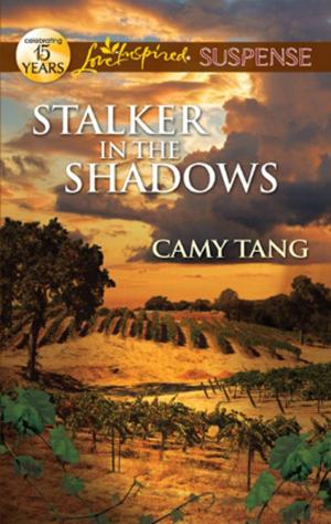 Cover of the book Stalker in the Shadows by Judy Kaye, Pamela Bauer