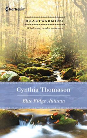 Book cover of Blue Ridge Autumn
