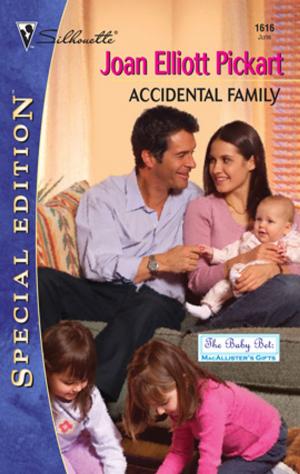 bigCover of the book Accidental Family by 