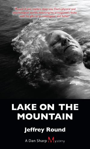Cover of the book Lake on the Mountain by Valerie Knowles
