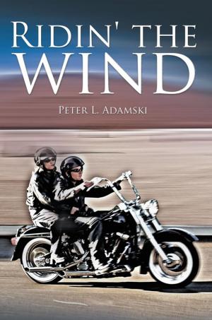 Cover of the book Ridin' the Wind by Ardith Hoff