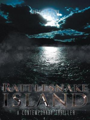 Cover of the book Rattlesnake Island by Lowell Woodruff