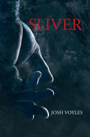 Cover of the book Sliver by Duane Wiltse