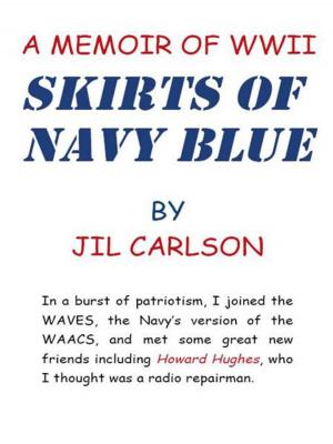 Cover of the book Skirts of Navy Blue by Ron Harrysson Sunhauke