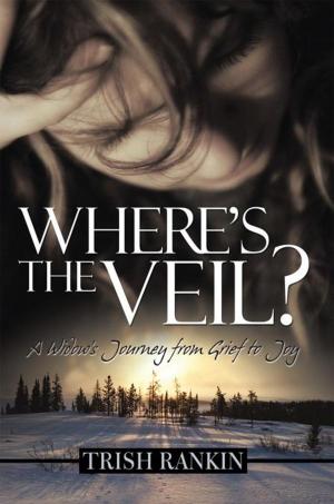 Book cover of Where’S the Veil?