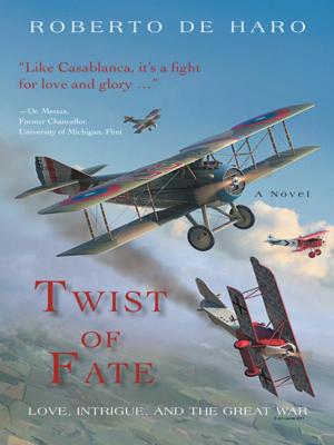 Cover of the book Twist of Fate by Cordelia Socorro Martinez