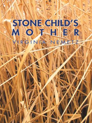 Cover of the book Stone Child’S Mother by Pamela Haskin
