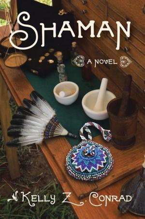 Cover of the book Shaman by Anne Hart