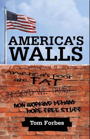 Cover of the book America's Walls by Nathalie Brisebois