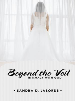 Cover of Beyond the Veil: Intimacy with God