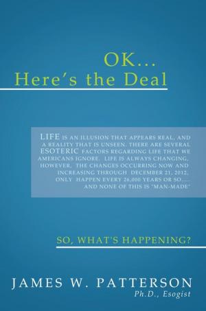 Cover of the book Ok... Here's the Deal by Laudem Gloriae