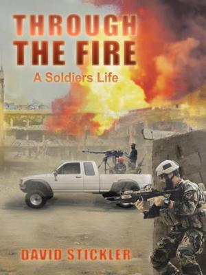 Cover of the book Through the Fire by Danielle Van Alst