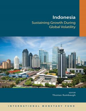 Cover of the book Indonesia: Sustaining Growth During Global Volatility by Liam Mr. Ebrill, Michael Mr. Keen, Victoria Mrs. Summers