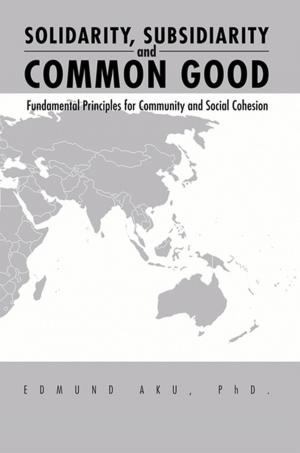 Book cover of Solidarity, Subsidiarity and Common Good