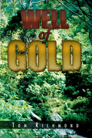 Cover of the book Well of Gold by Aaron N.R. Wilson