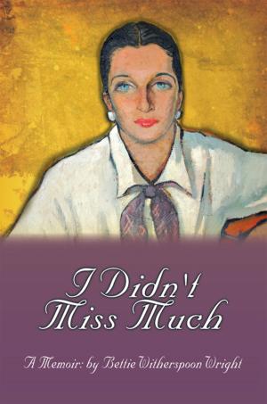 Cover of the book I Didn't Miss Much by Daniel Lee Wilt