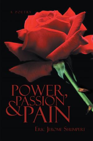 Cover of the book Power, Passion and Pain by Tony Ferguson