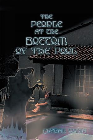 Cover of the book The People at the Bottom of the Pool by Angus MacDonald