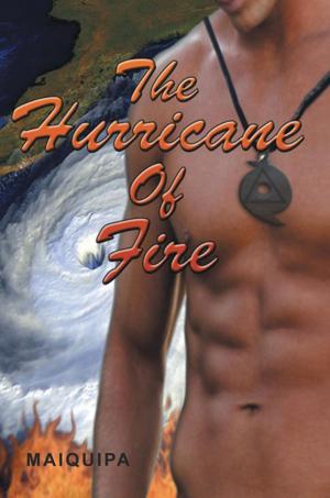 Cover of the book The Hurricane of Fire by Jerald L. Marsh
