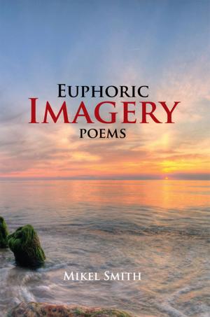 Cover of the book Euphoric Imagery by Mali Berger
