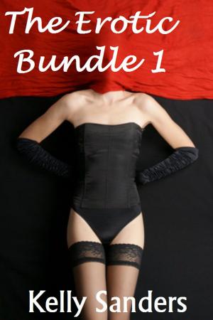 Cover of the book Erotic Bundle volume 1 by Kelly Sanders