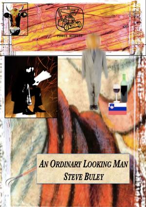 Cover of the book An Ordinary Looking Man by Jérôme Dubois