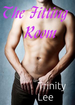 Cover of the book The Fitting Room by Trinity Lee
