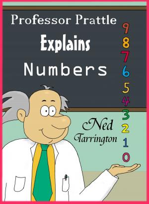 Book cover of Professor Prattle Explains Numbers
