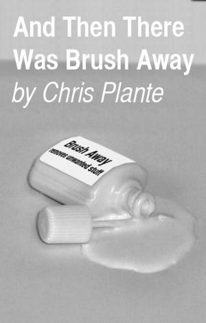 Cover of the book And Then There Was Brush Away by Stefan Geir