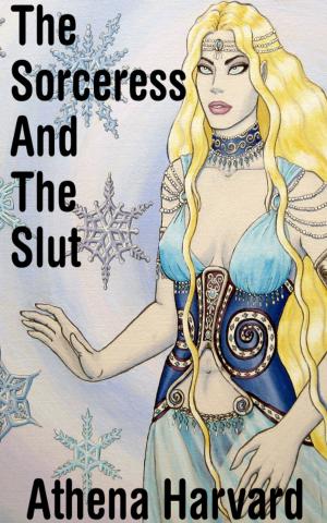 Cover of the book The Sorceress and the Slut by Sarah Beth James