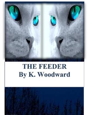 Cover of the book The Feeder by Khalil Akil