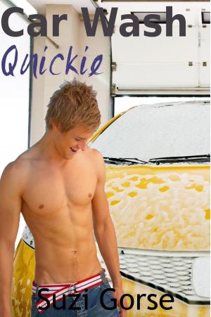 bigCover of the book Car Wash Quickie by 