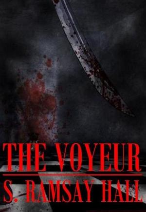 Cover of the book The Voyeur by Bettina Ferbus