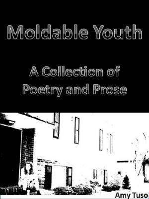 bigCover of the book Moldable Youth: A Collection of Poetry and Prose by 